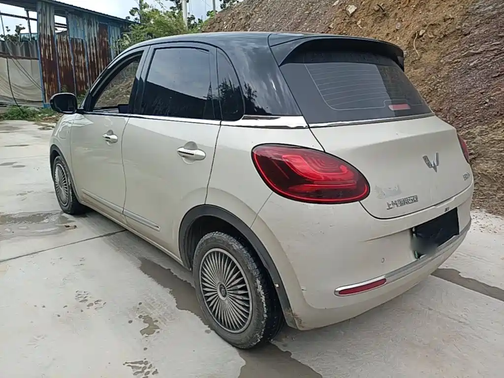 Wuling Binguo 2023 333km +