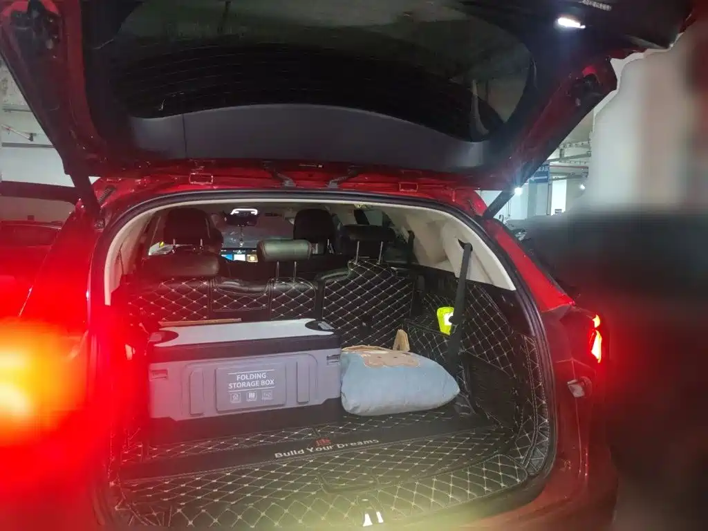 BYD Tang New Energy — миниатюра 10