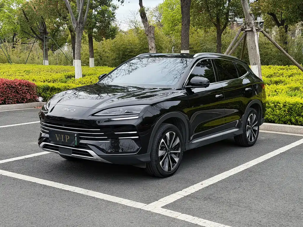 Byd PLUS New Energy 2025