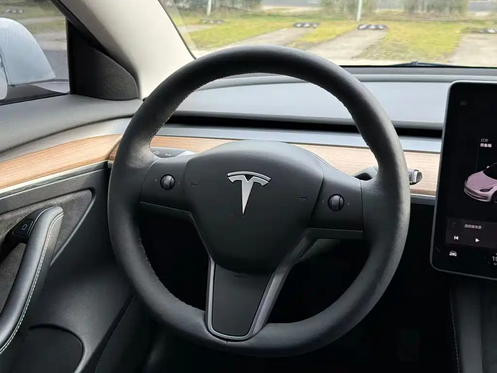 Tesla Model 3 — миниатюра 5