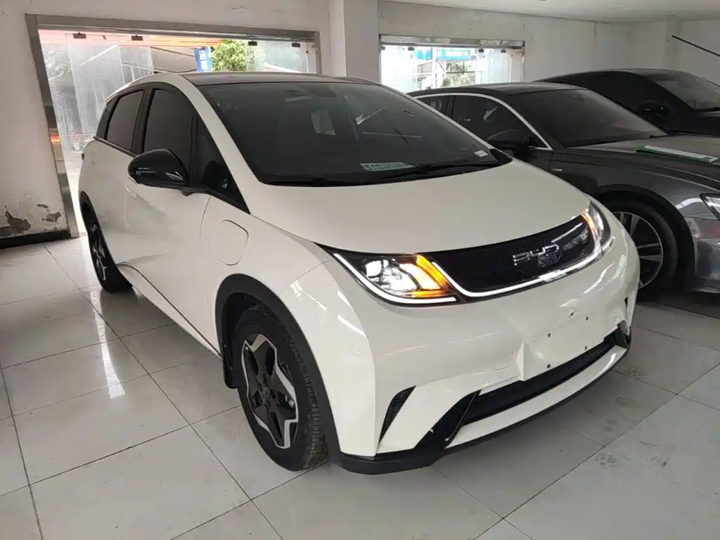 BYD Dolphin — миниатюра 4