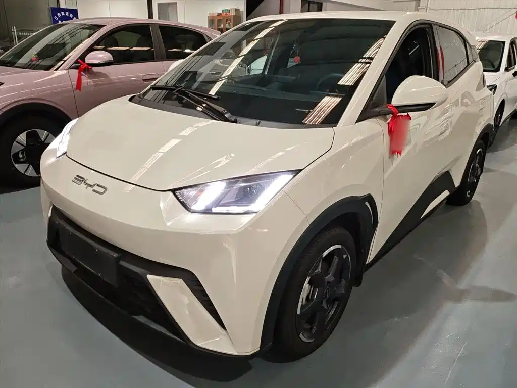 Byd Seagull 2024