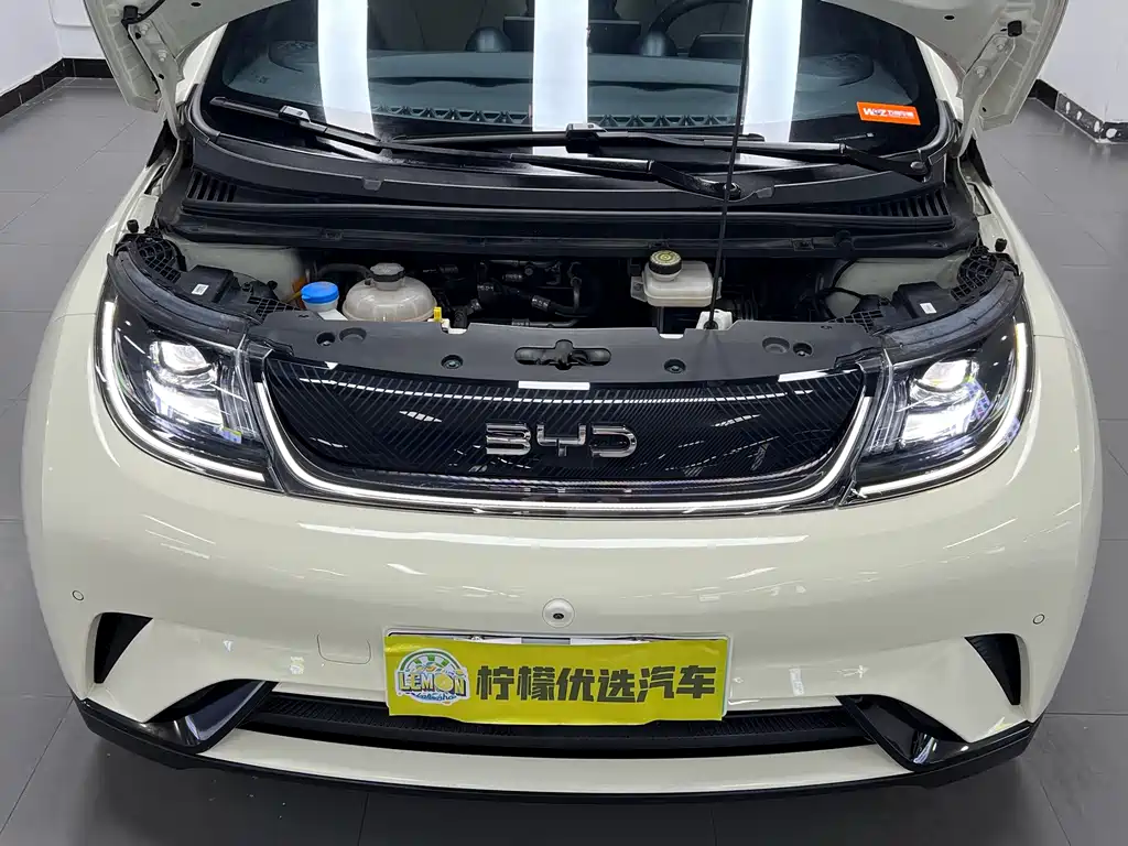 BYD Dolphin — миниатюра 12