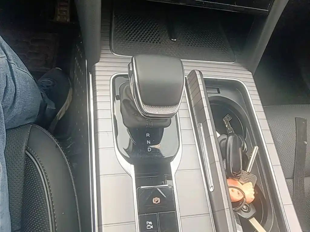 Hongqi Hongqi HS7 PHEV — миниатюра 14