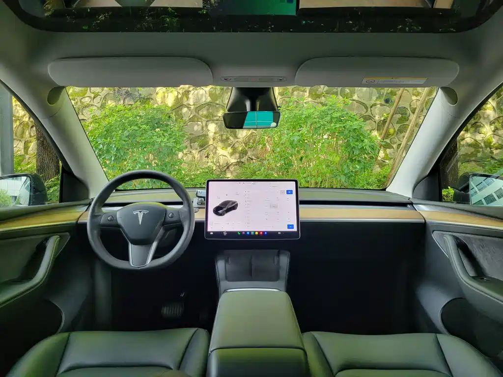 Tesla Model Y — миниатюра 20