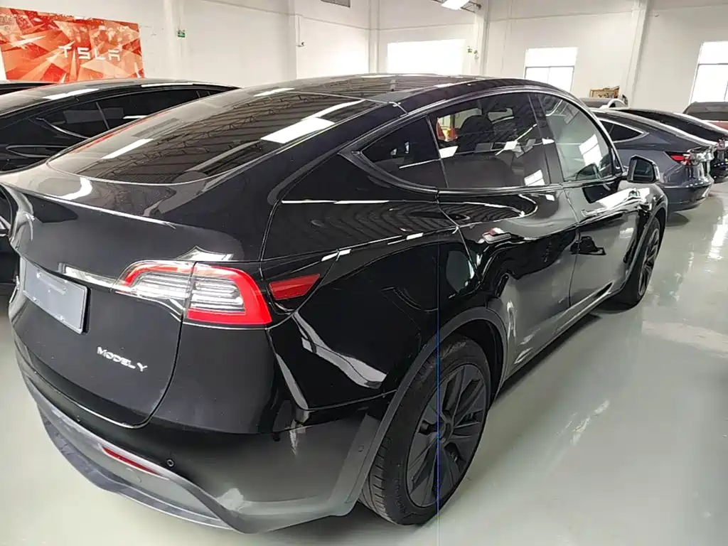 Tesla Model Y — миниатюра 7