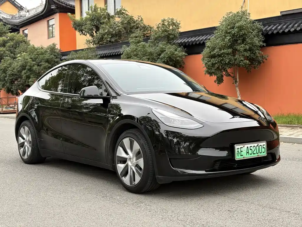 Tesla Model Y — миниатюра 3