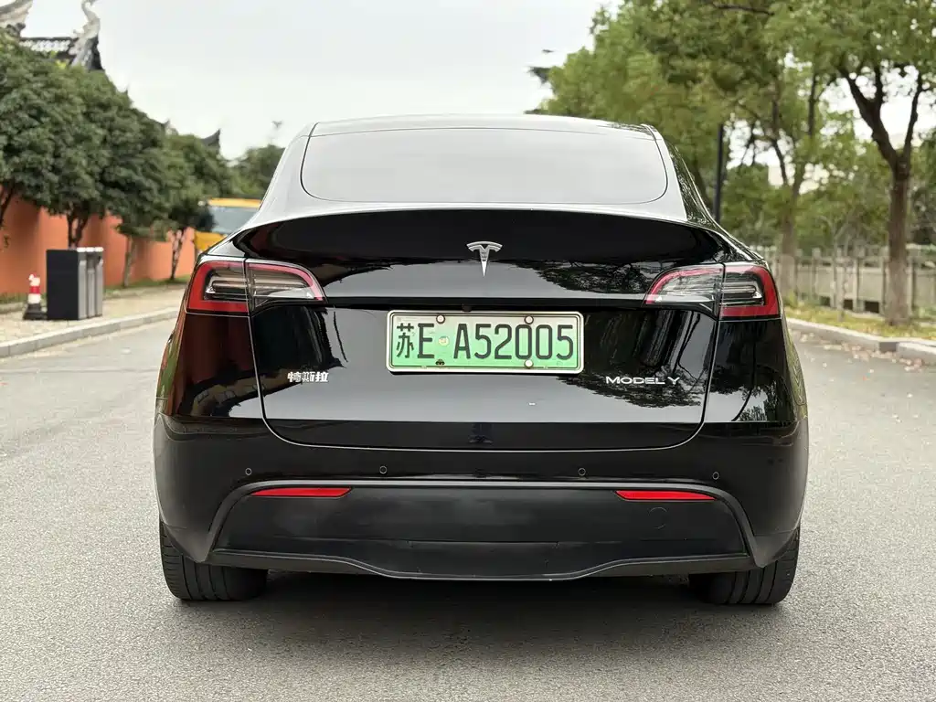 Tesla Model Y — миниатюра 8