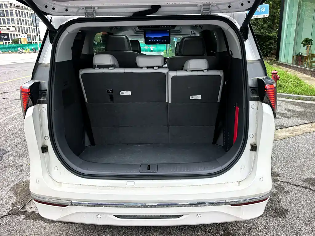 Buick GL8 — миниатюра 11