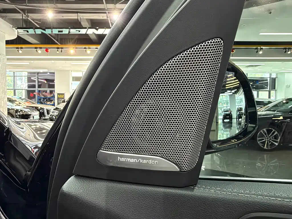 BMW X5 — миниатюра 13