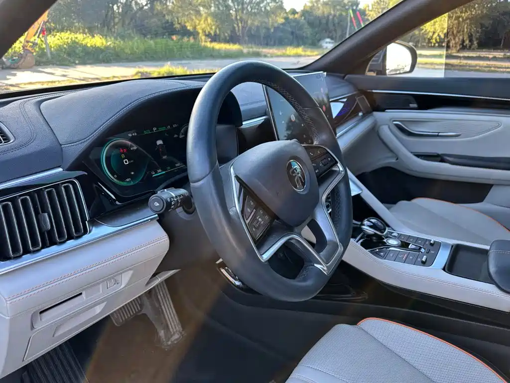 BYD PLUS New Energy — миниатюра 14
