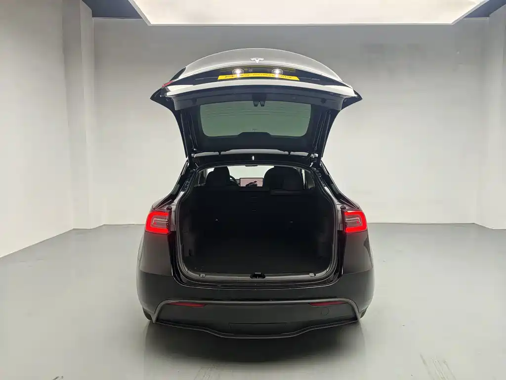 Tesla Model Y — миниатюра 16