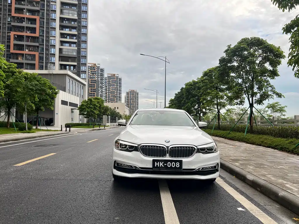 BMW 5 Series 5 2018 530Li Lead Luxury