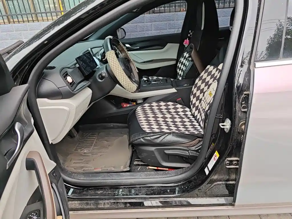 BYD Qin PLUS — миниатюра 11