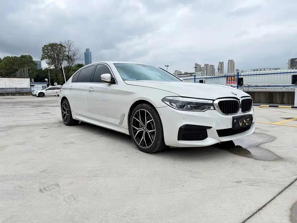 BMW 5 Series — миниатюра 3