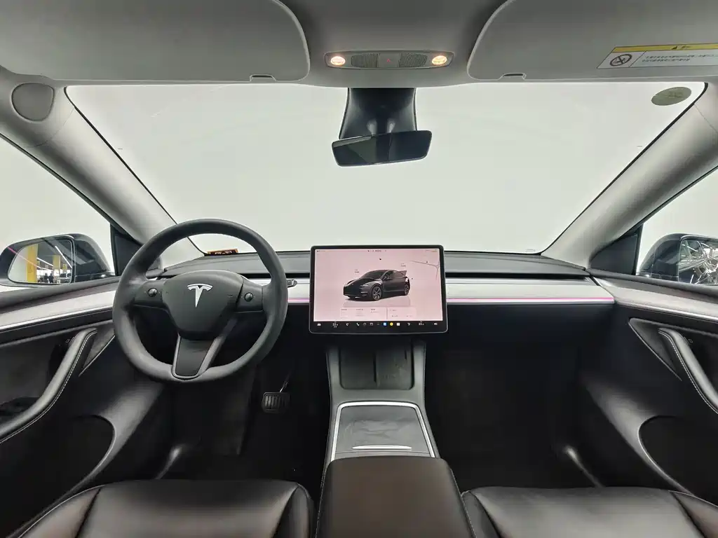 Tesla Model Y — миниатюра 6
