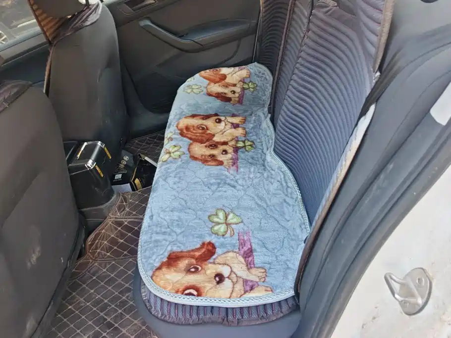 Volkswagen Santana — миниатюра 11