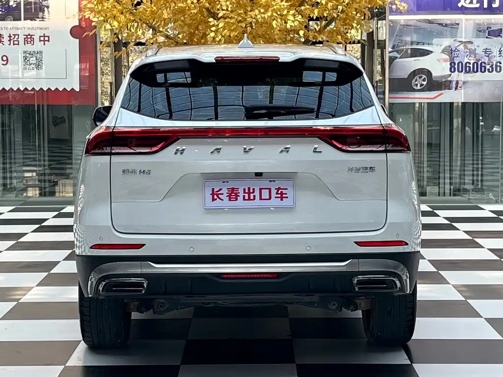 Haval H6 — миниатюра 5