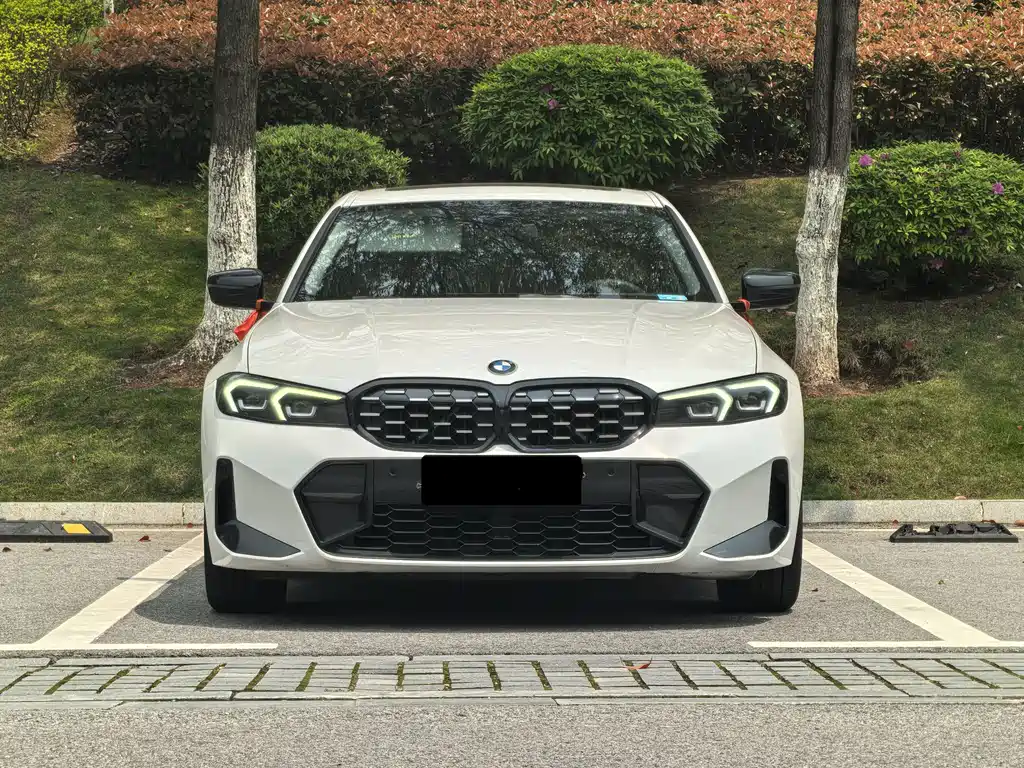 BMW 3 Series — миниатюра 2