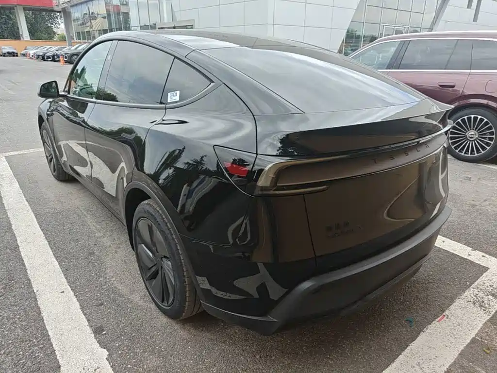 Tesla Model Y — миниатюра 5