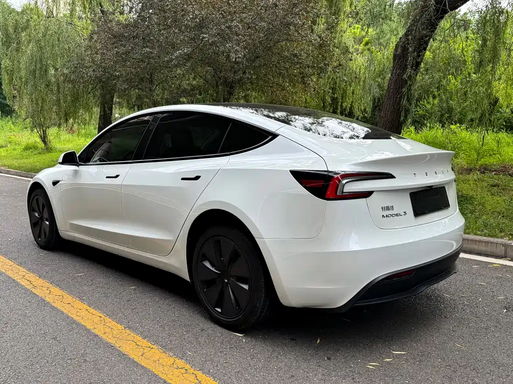 Tesla Model 3 — миниатюра 6