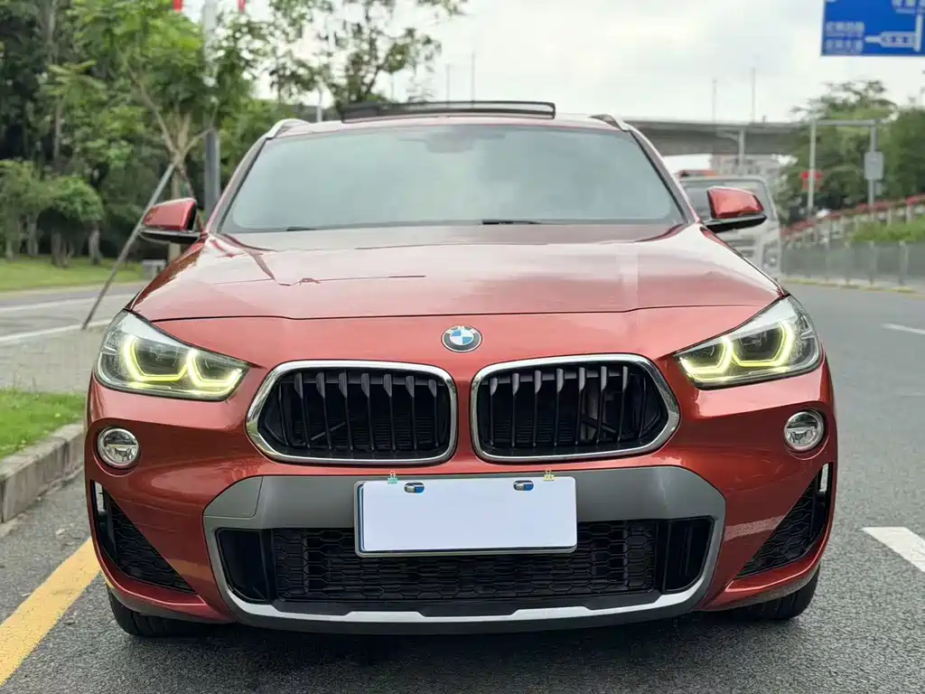 BMW X2 2018 sDrive25i Luxury M V