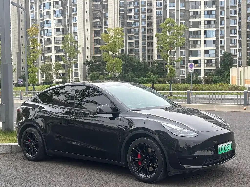 Tesla Model Y — миниатюра 3