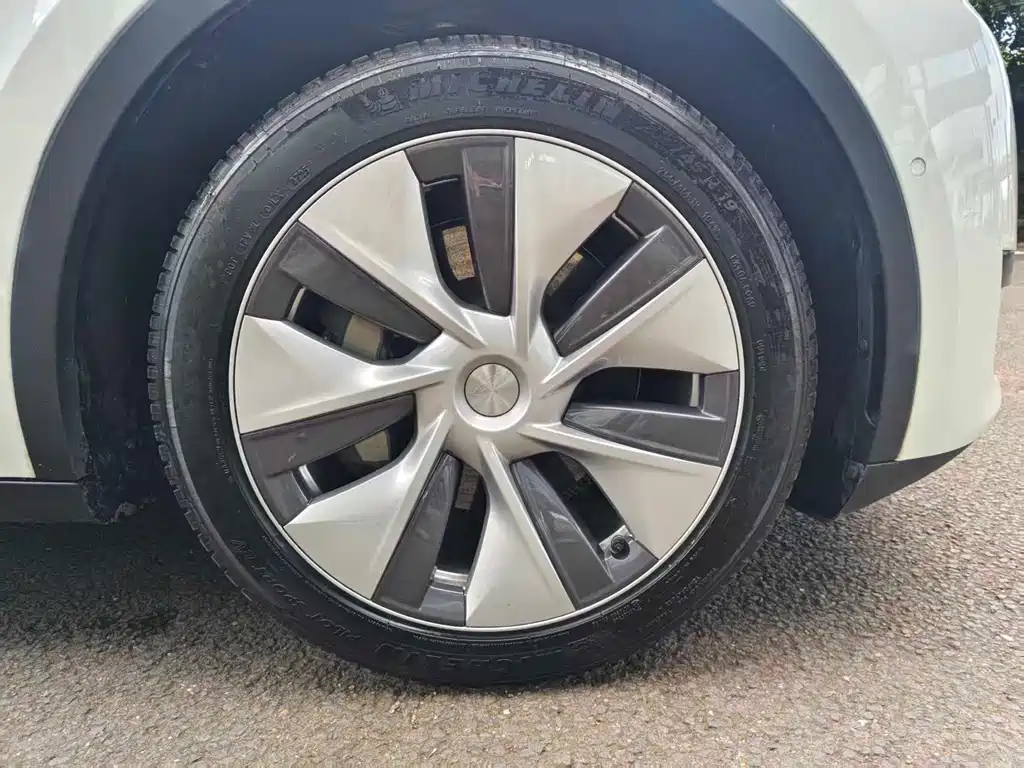 Tesla Model Y — миниатюра 12