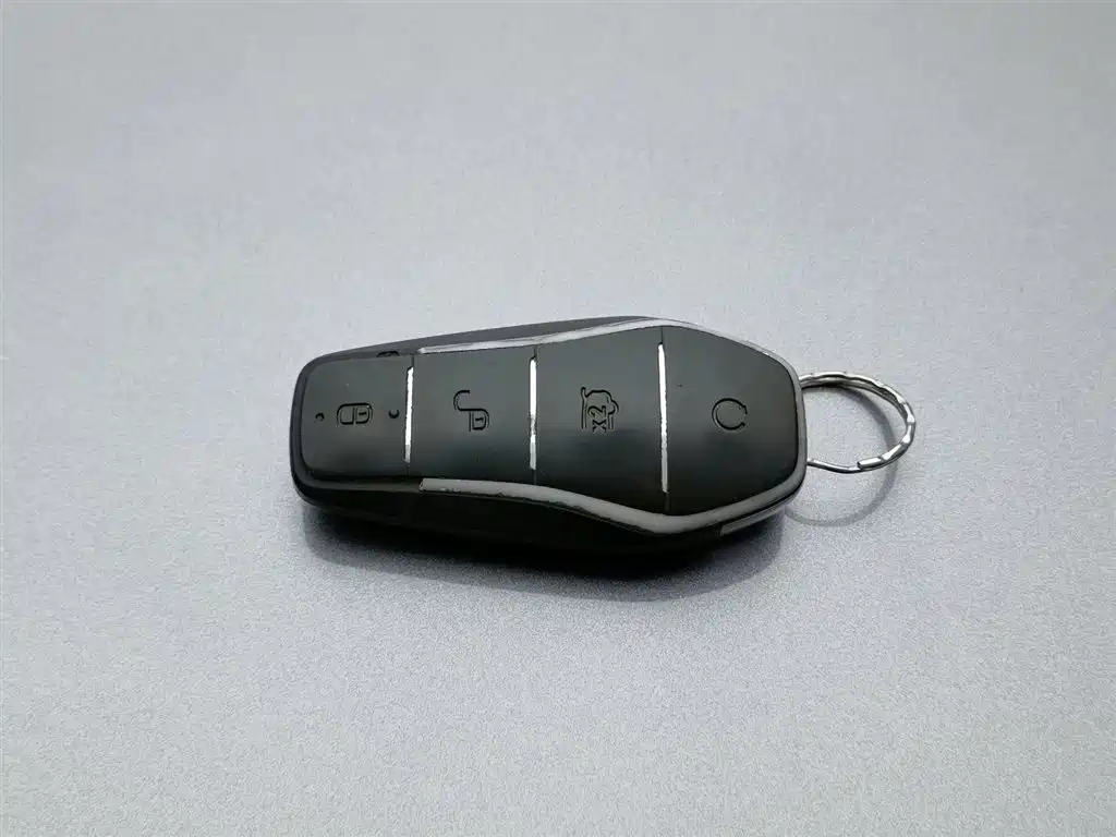 BYD SONGJIANG NEW ENERGY