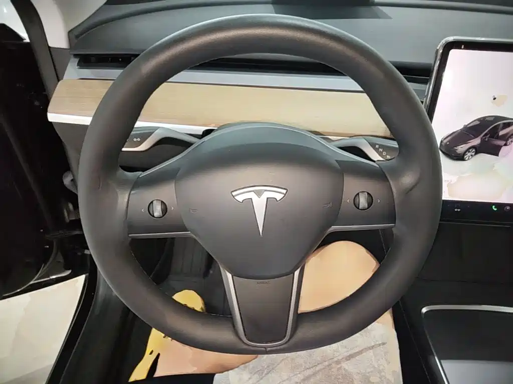 Tesla Model Y — миниатюра 11