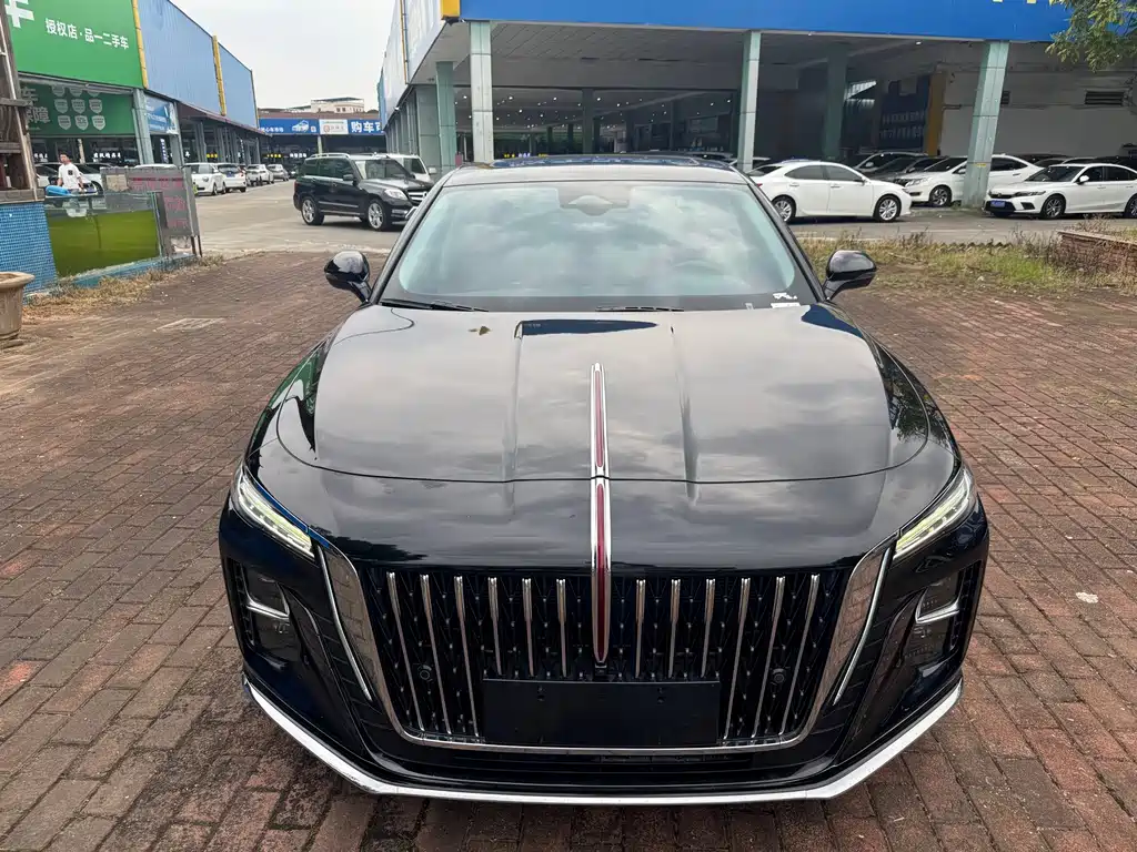 Hongqi Hongqi H5 — миниатюра 2