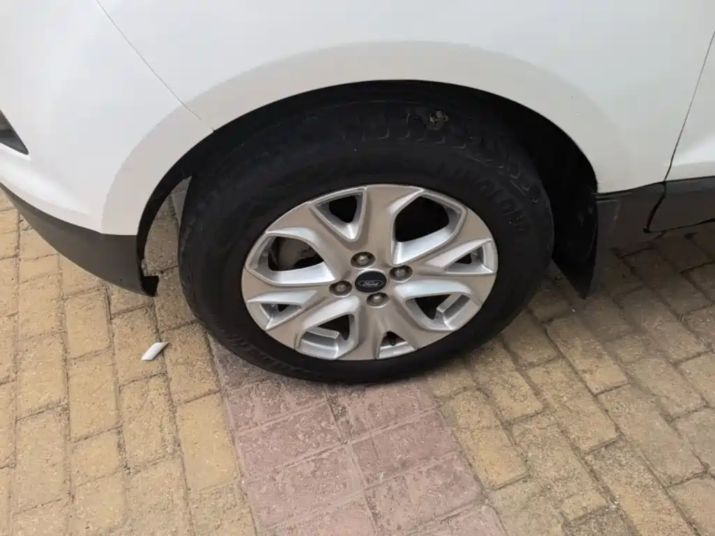 Ford Ecosport — миниатюра 23