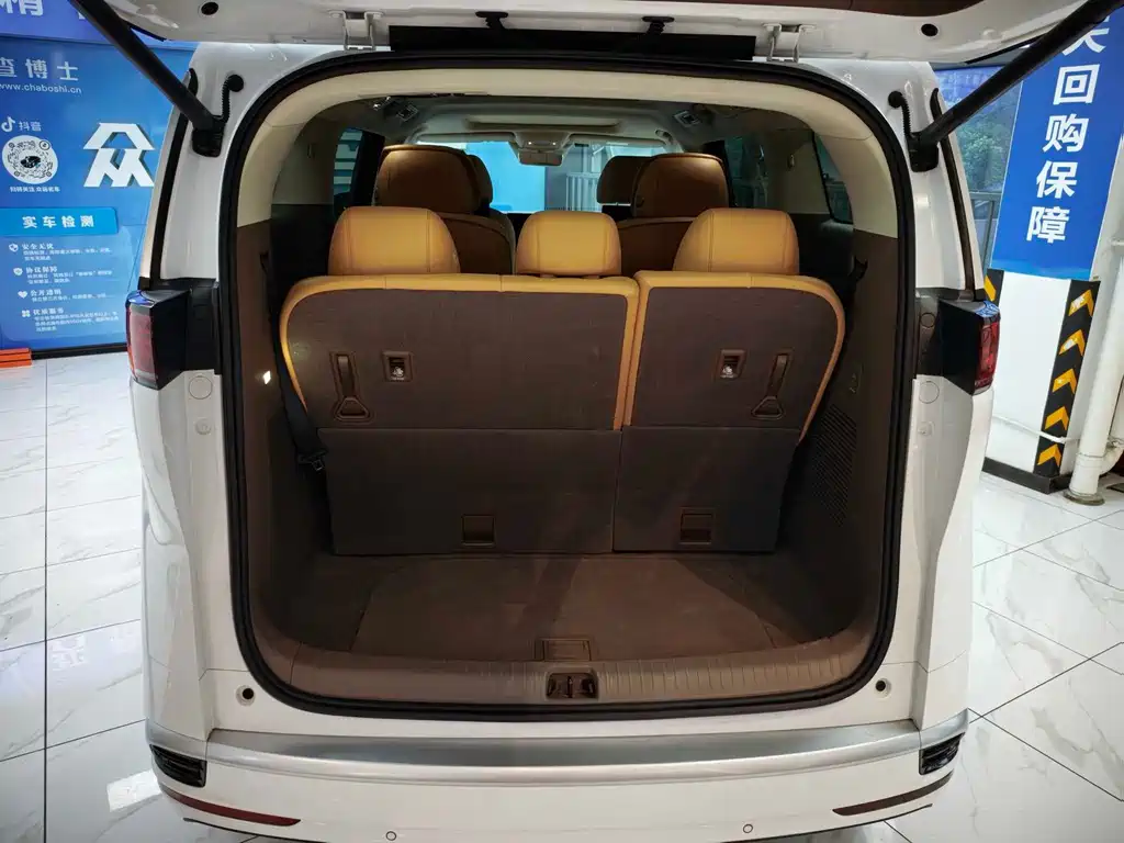 Denza Denza D9 — миниатюра 10