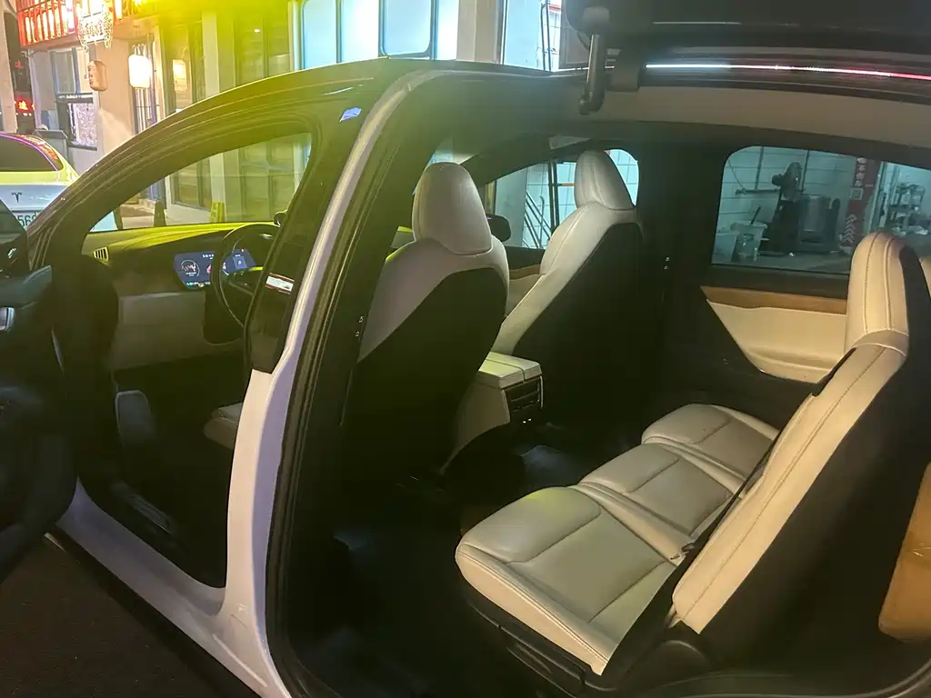 Tesla Model X — миниатюра 5