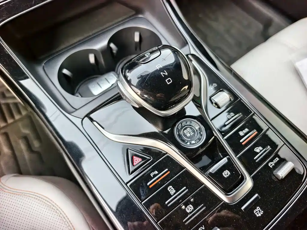 BYD Qin Plus PLUS 2024 DM-i 55KM Lead