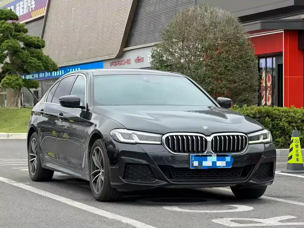 BMW 5 Series — миниатюра 3