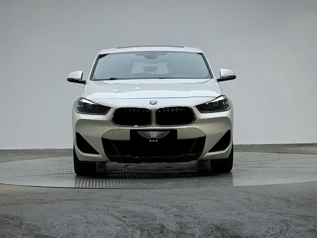 BMW X2 — миниатюра 2