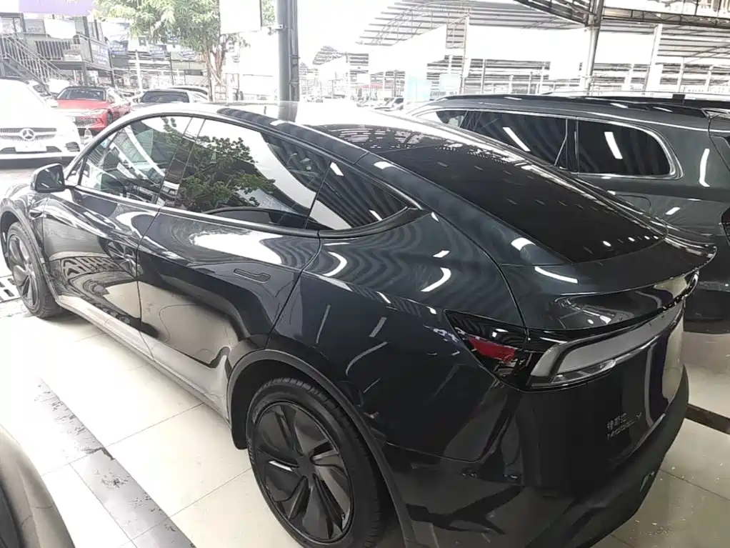Tesla Model Y — миниатюра 5