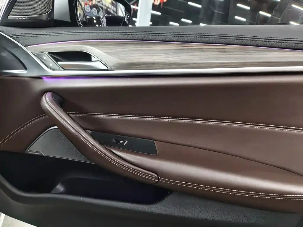 BMW 5 SERIES NEW ENERGY