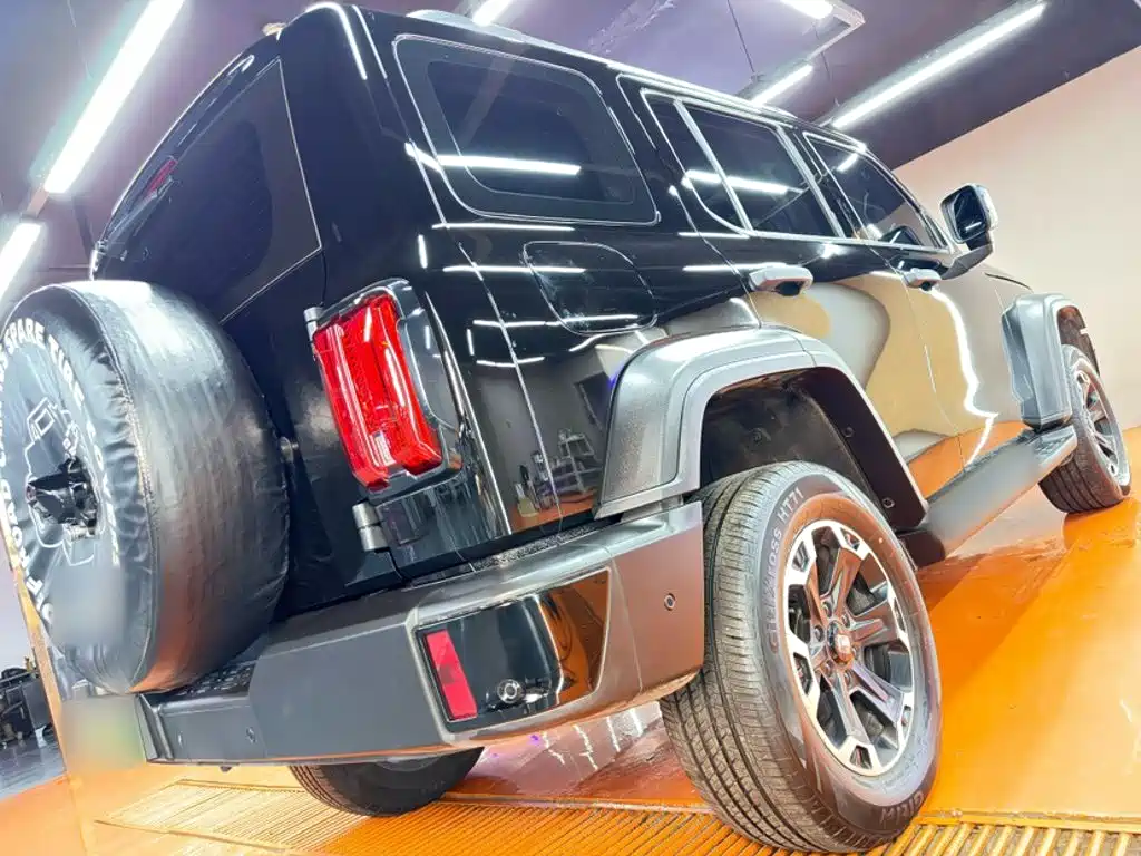 Tank Tank 300 New Energy — миниатюра 11