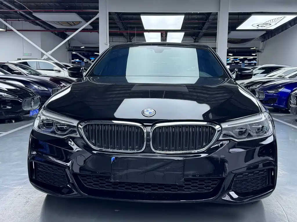 BMW 5 Series 5 2020 530Li Lead M Sport