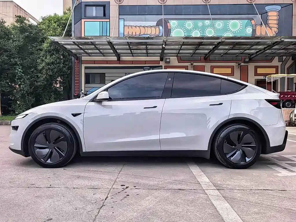 Tesla Model Y — миниатюра 15