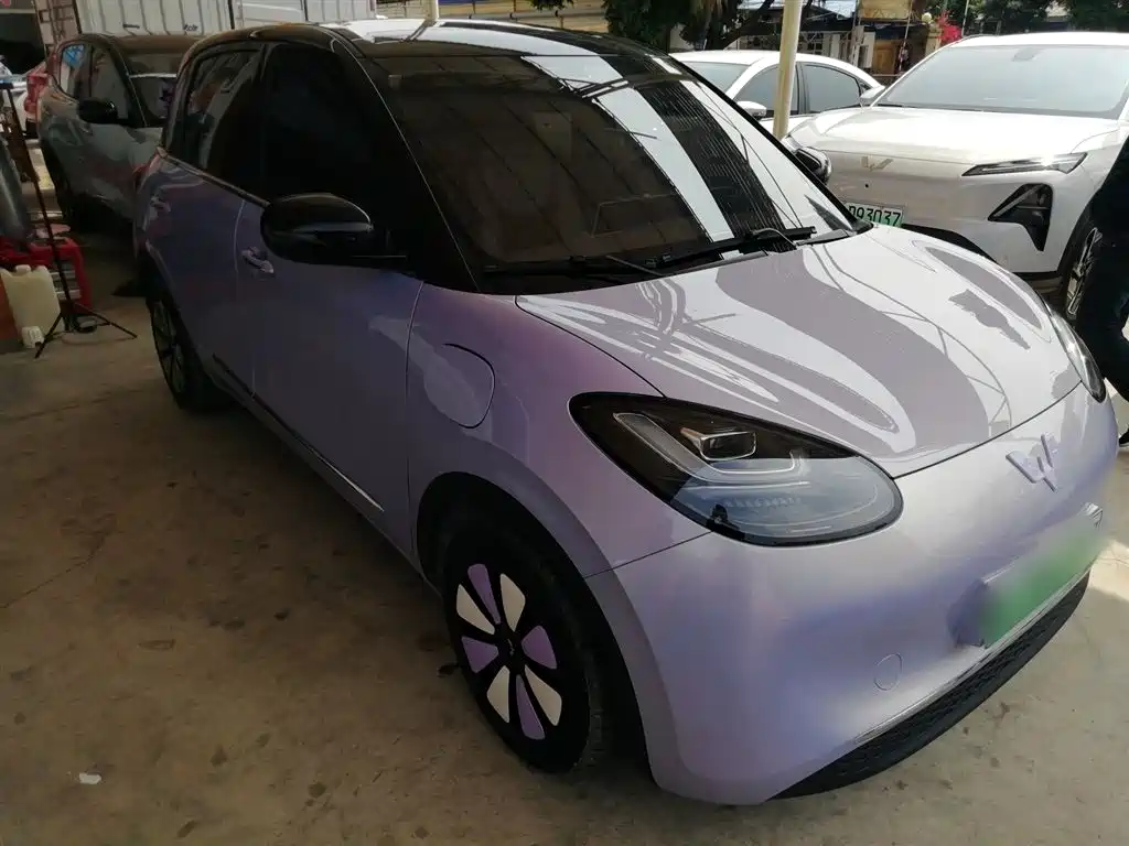 Wuling Binguo 2025 333km