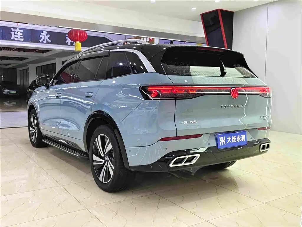 Volkswagen Tavendor — миниатюра 7