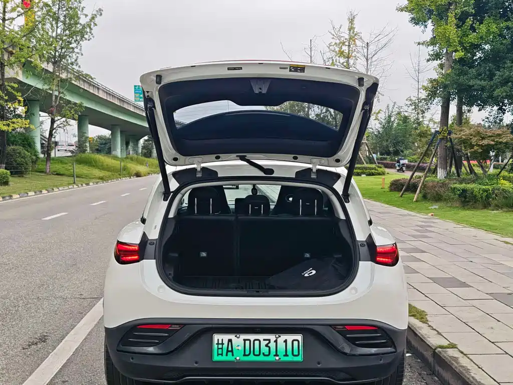 smart Smart #3 — миниатюра 15