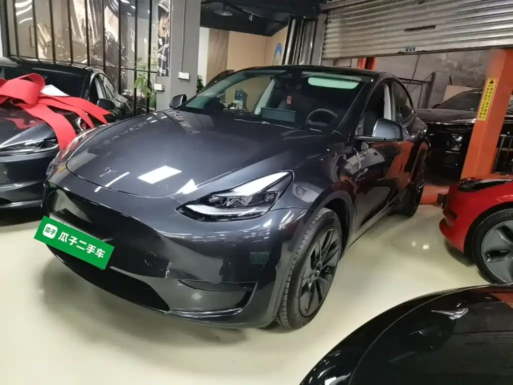Tesla Model Y — миниатюра 2