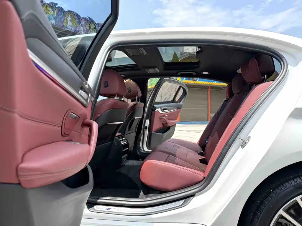 BMW 5 Series 5 2022 530Li Lead M Sport