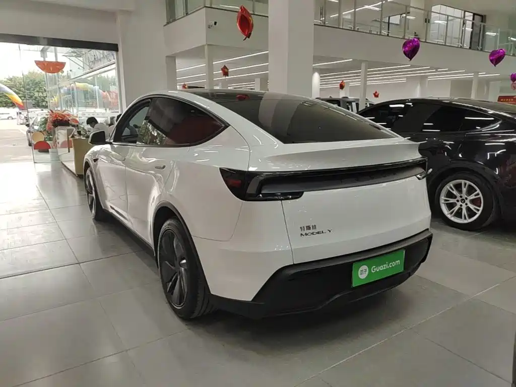 Tesla Model Y — миниатюра 5