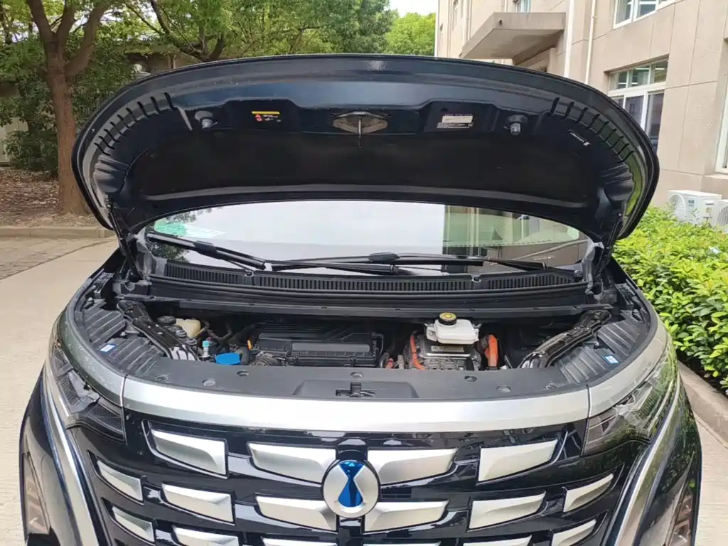 Denza Denza D9 — миниатюра 20