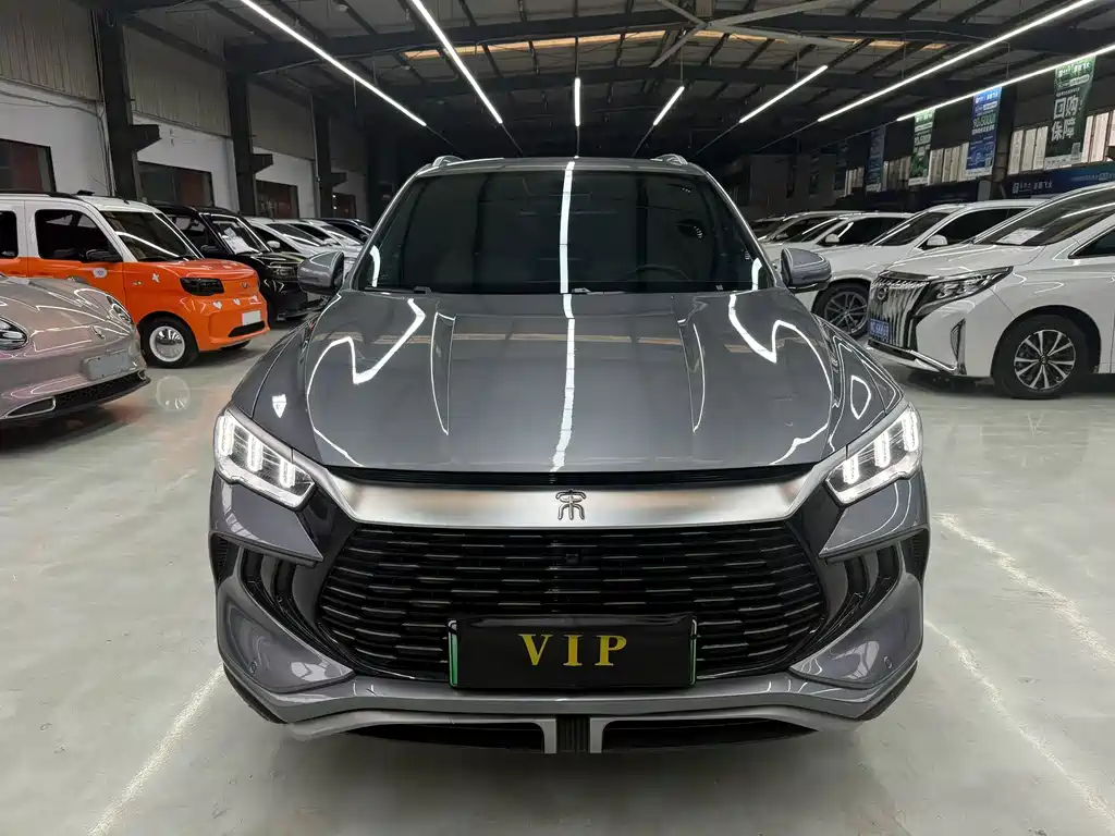 BYD Pro New Energy — миниатюра 2